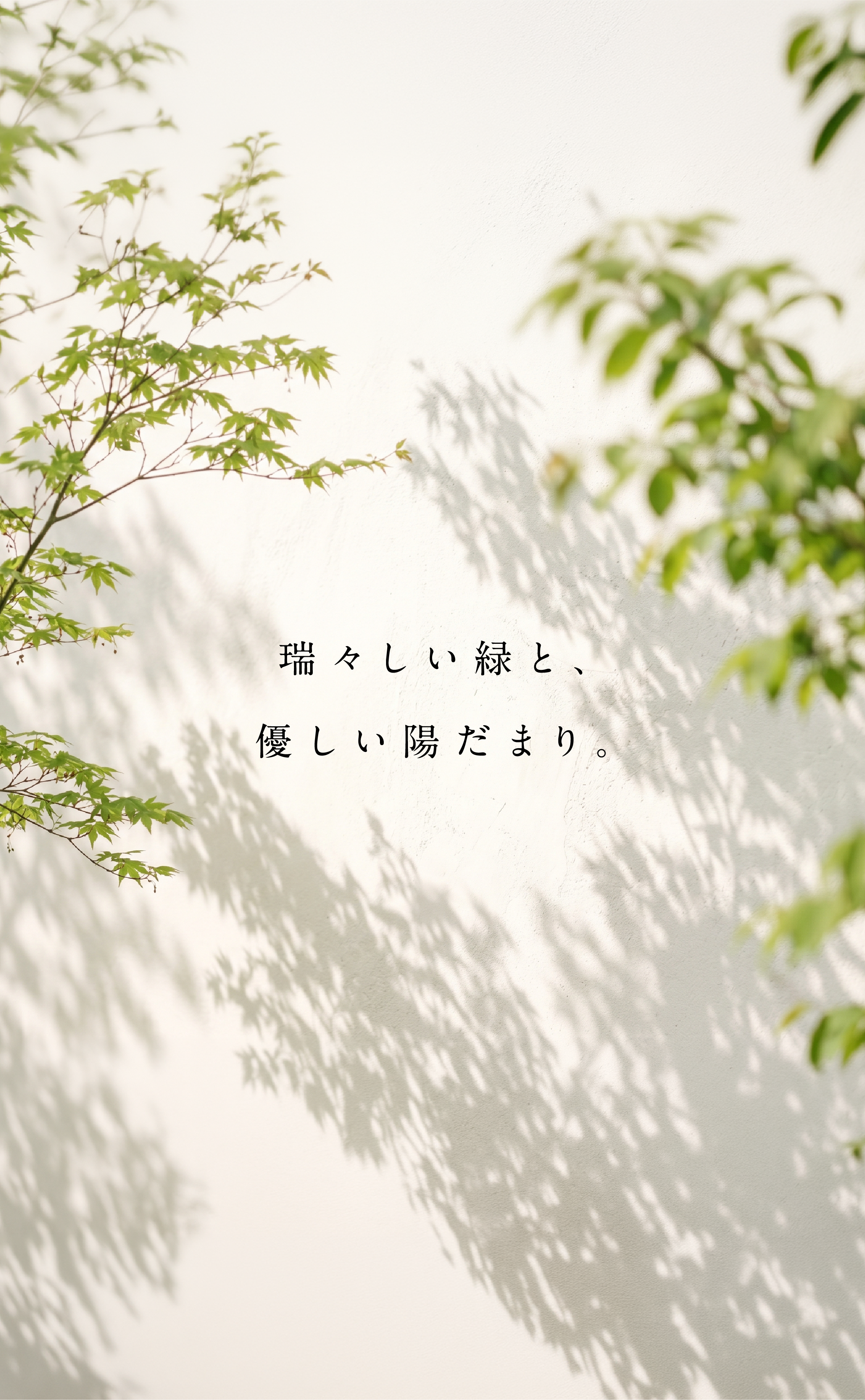 Image Photo
