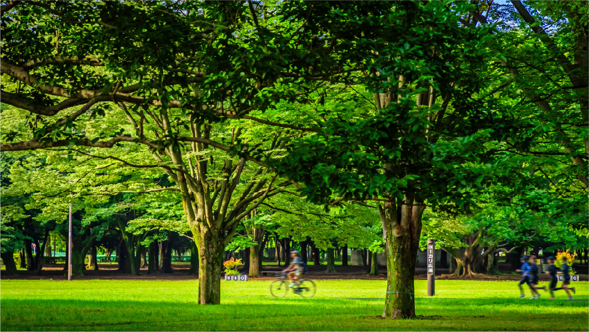 都立小金井公園