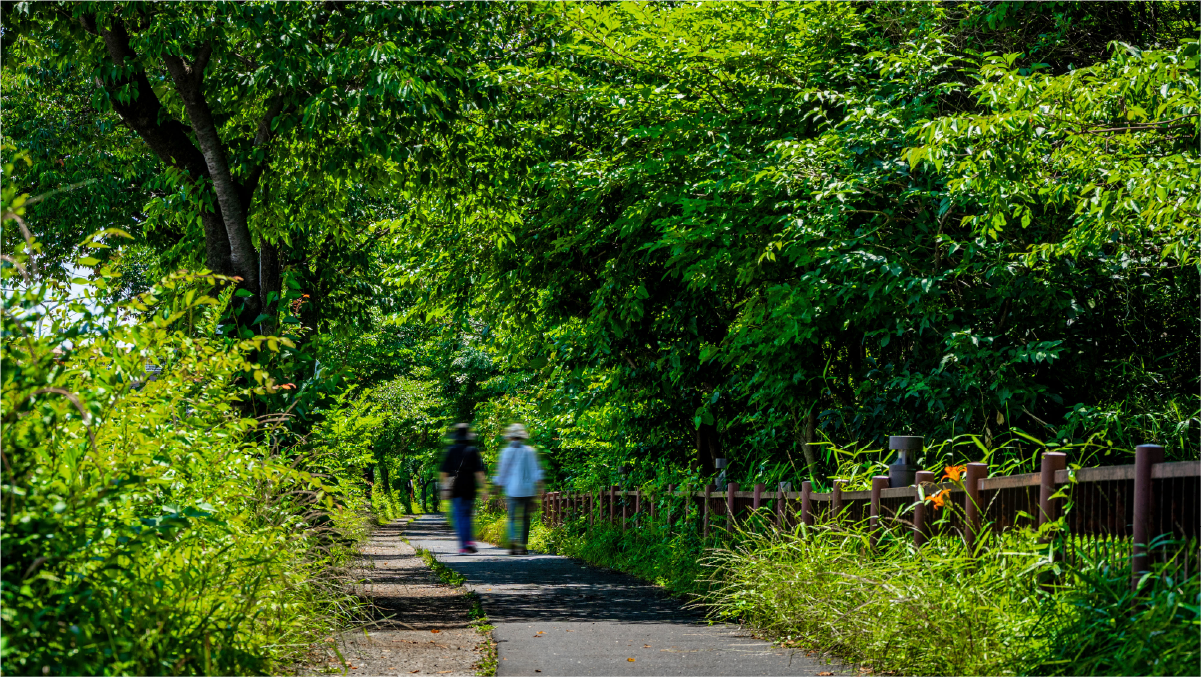 都立玉川上水緑道