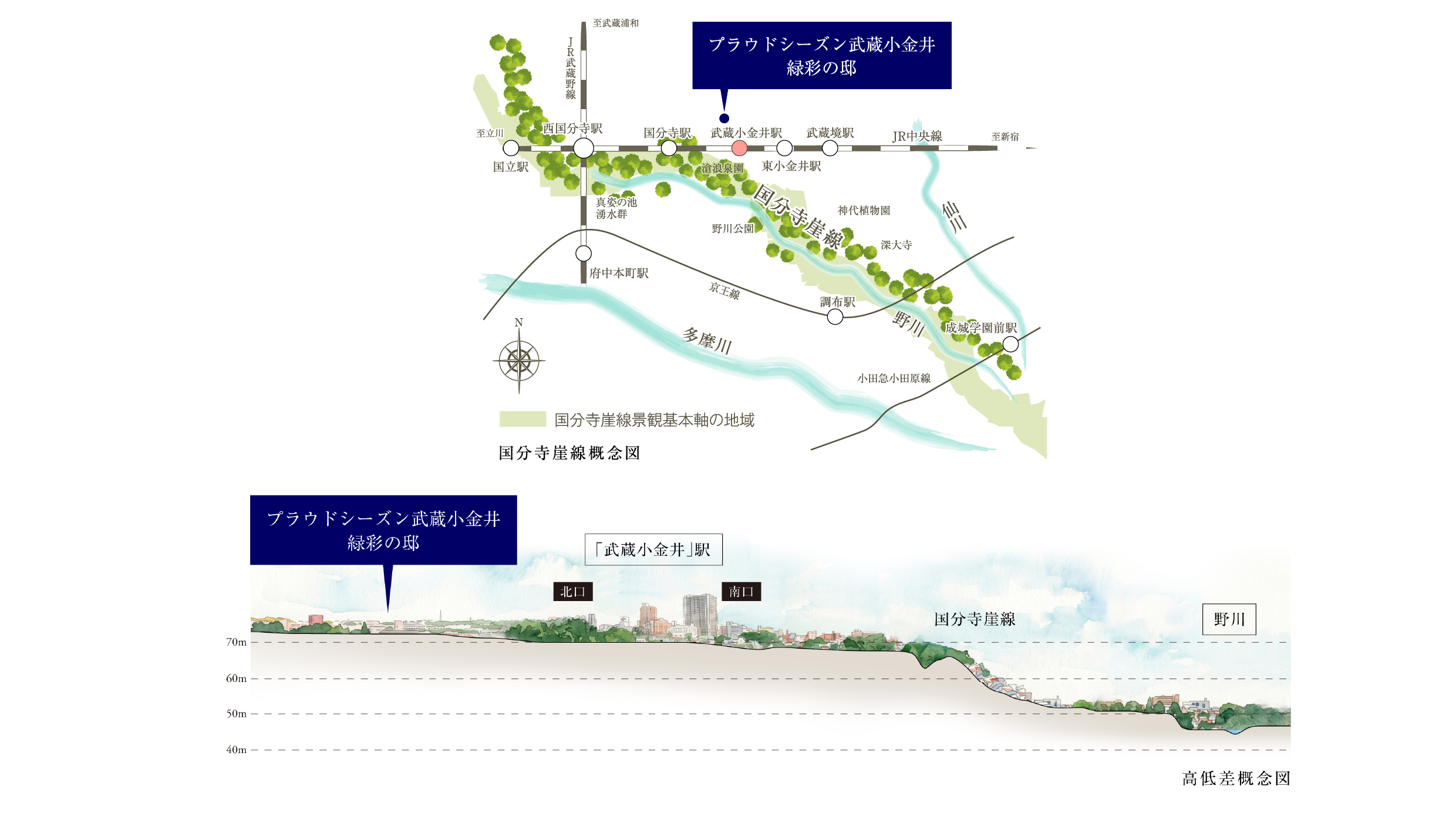 国分寺崖線概念図・高低差概念図