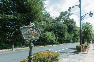 玉川上水（風の散歩道）画像