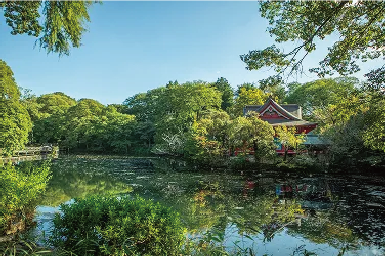 都立井の頭恩賜公園画像