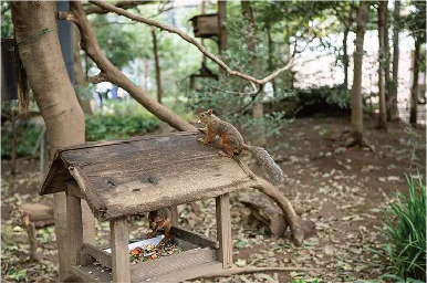 都立井の頭自然文化園画像