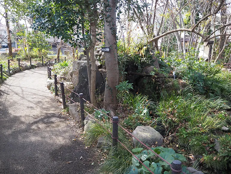 木の花小路公園