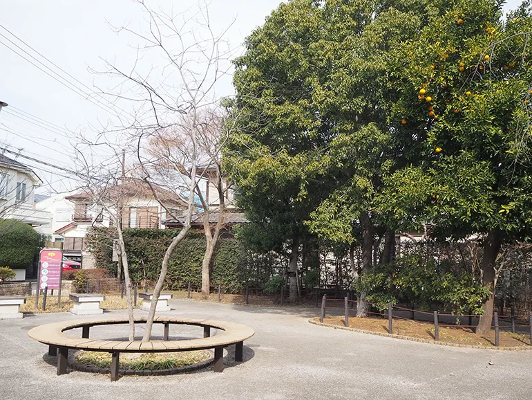 北町さくら緑地