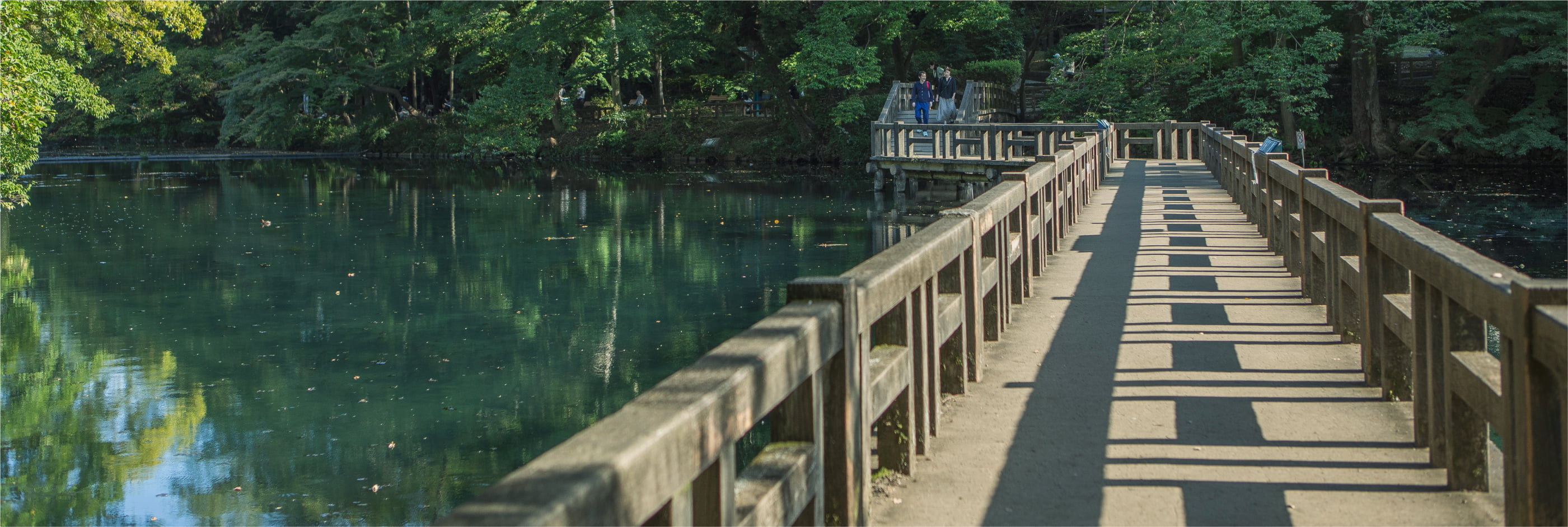 都立井の頭恩賜公園