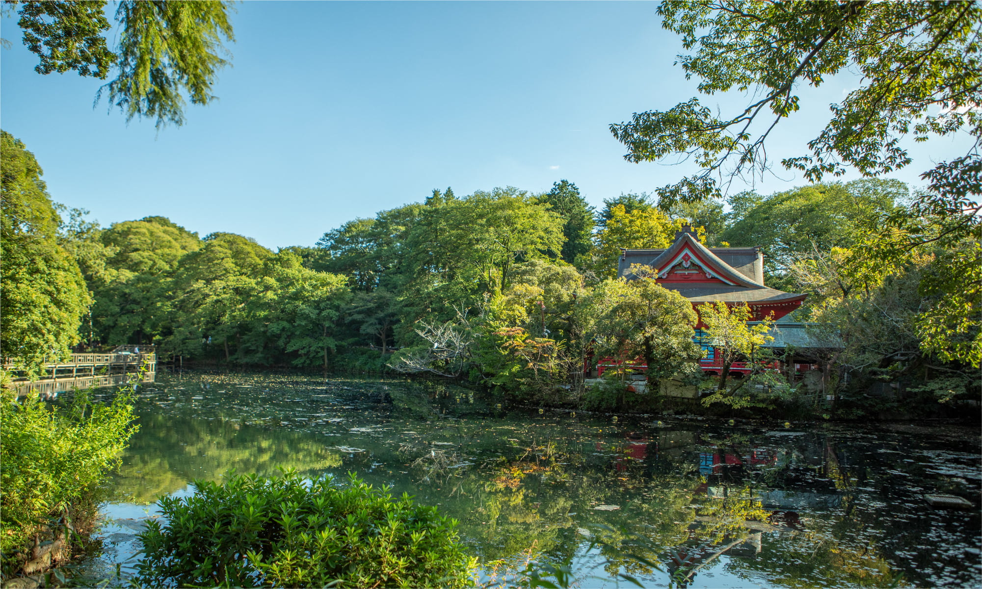 都立井の頭恩賜公園