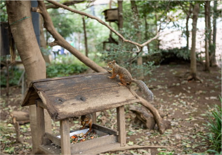 都立井の頭自然文化園