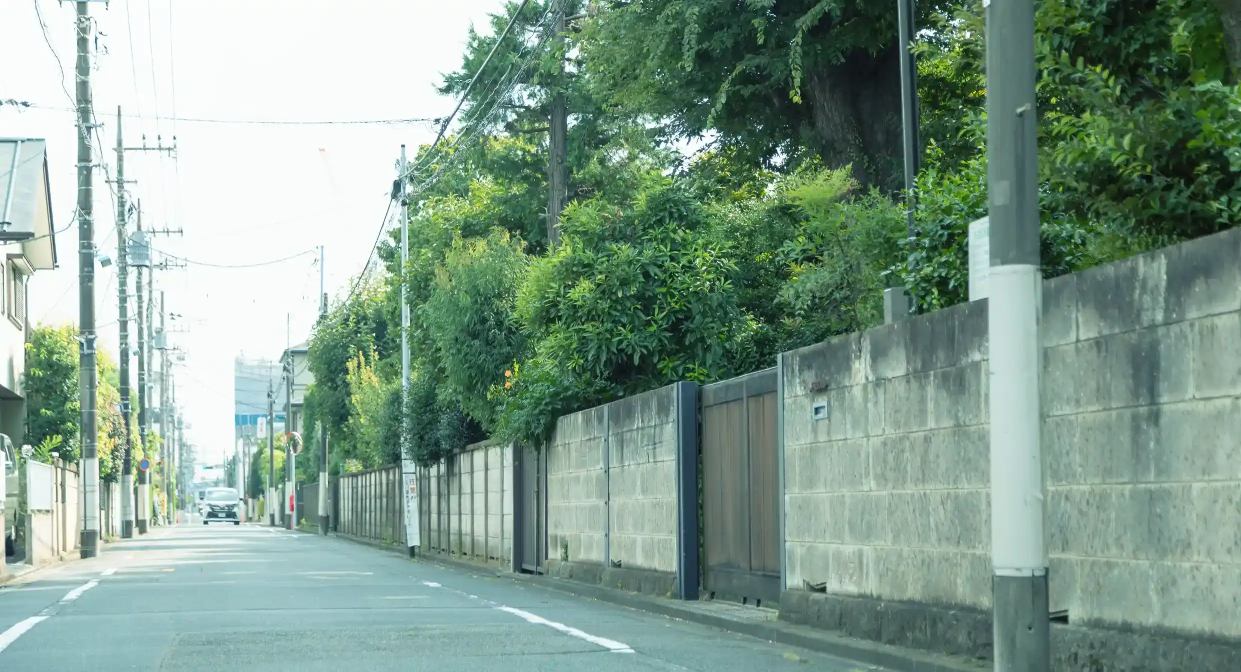 現地周辺街並(約100m／徒歩2分)
