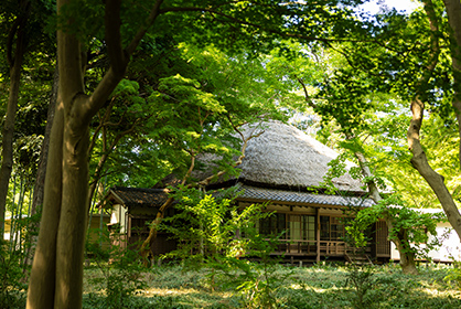 梅花書屋と周辺の木々を写した蘆花恒春園内の写真
