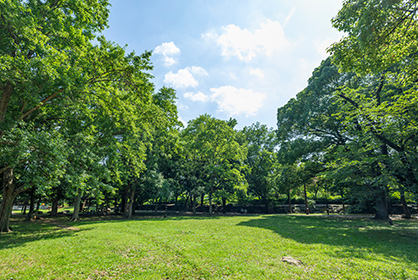 蘆花恒春園内の写真