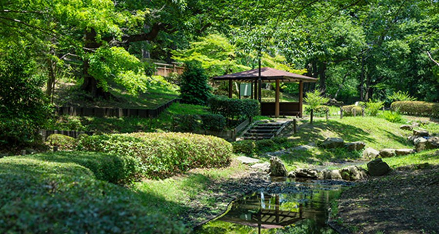 祖師谷公園内の写真