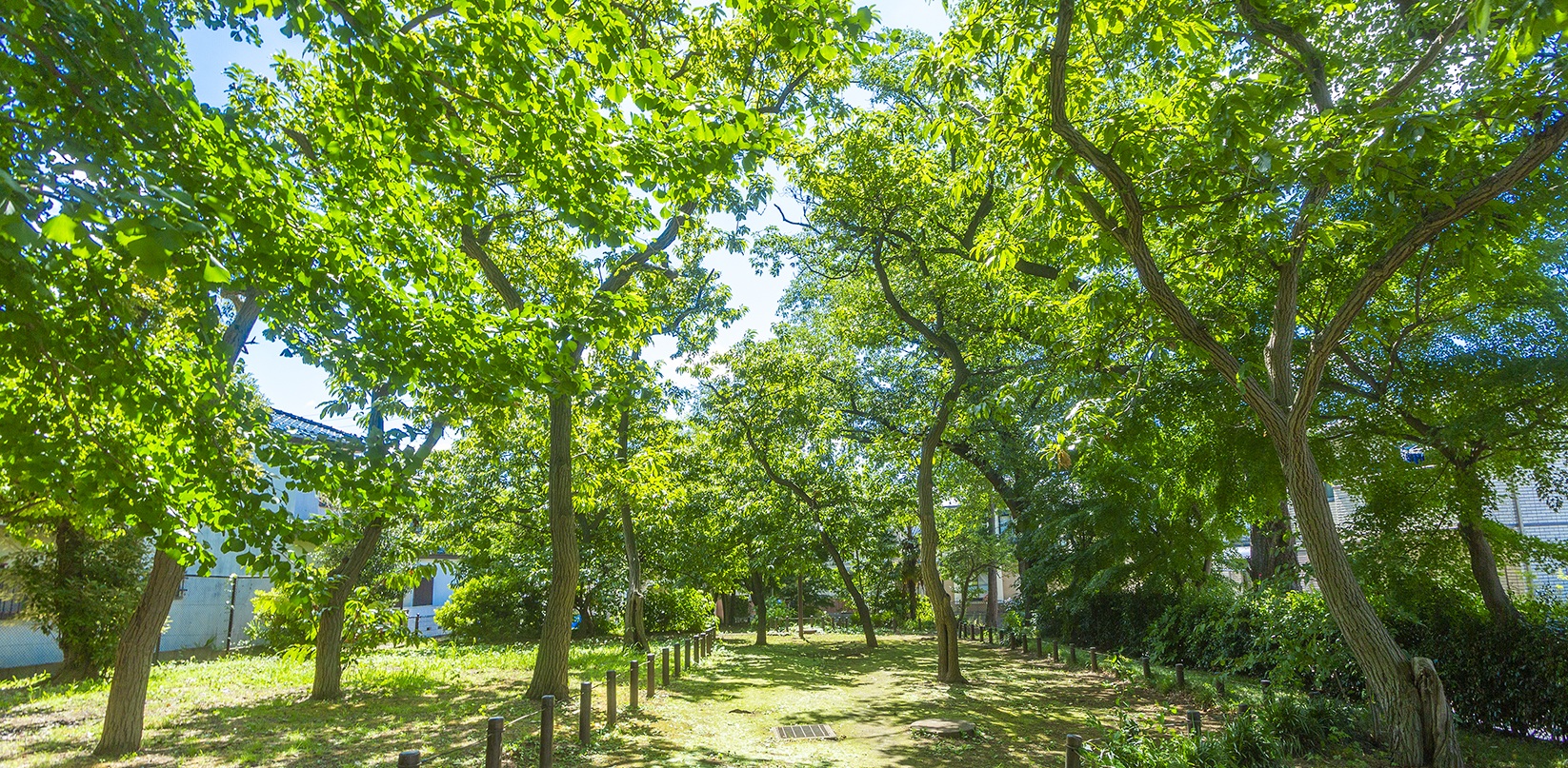 どんぐり山の森緑地