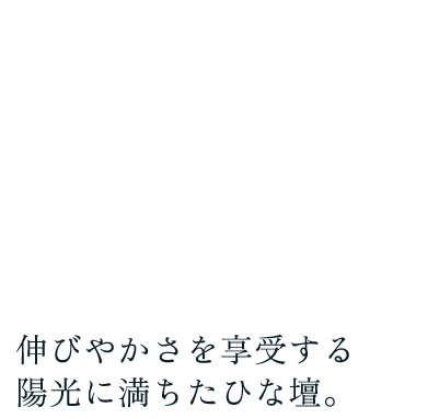 伸びやかさを享受する陽光に満ちたひな壇