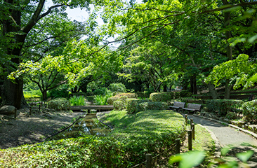 祖師谷公園