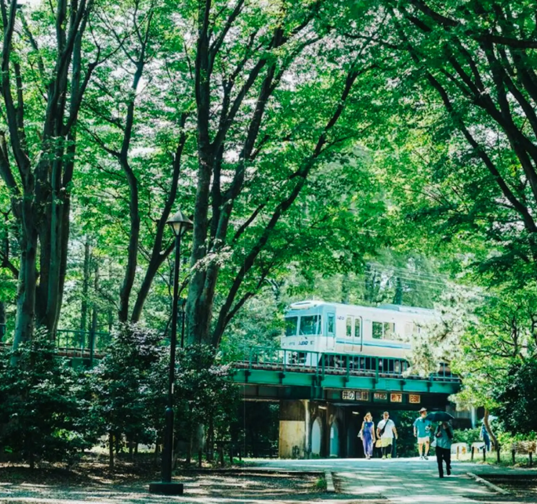 都⽴井の頭恩賜公園