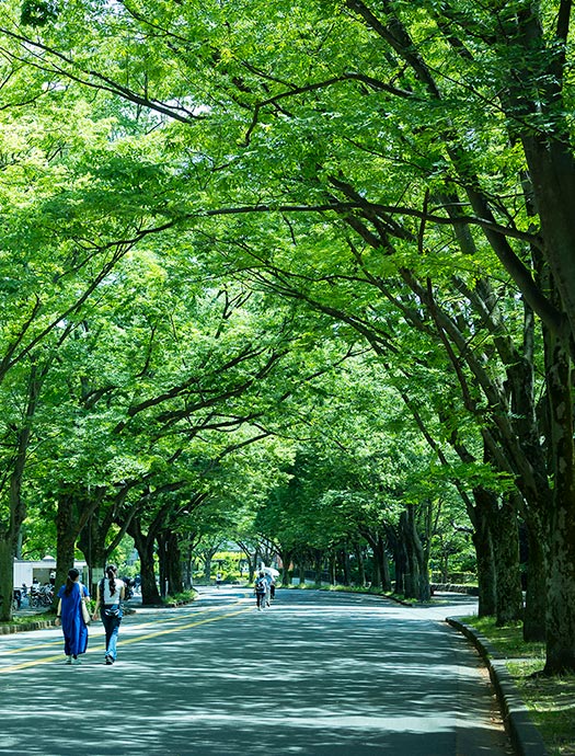 駒沢オリンピック公園の写真