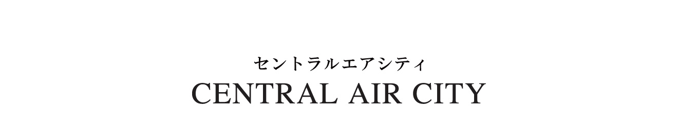 CENTRAL AIR CITY