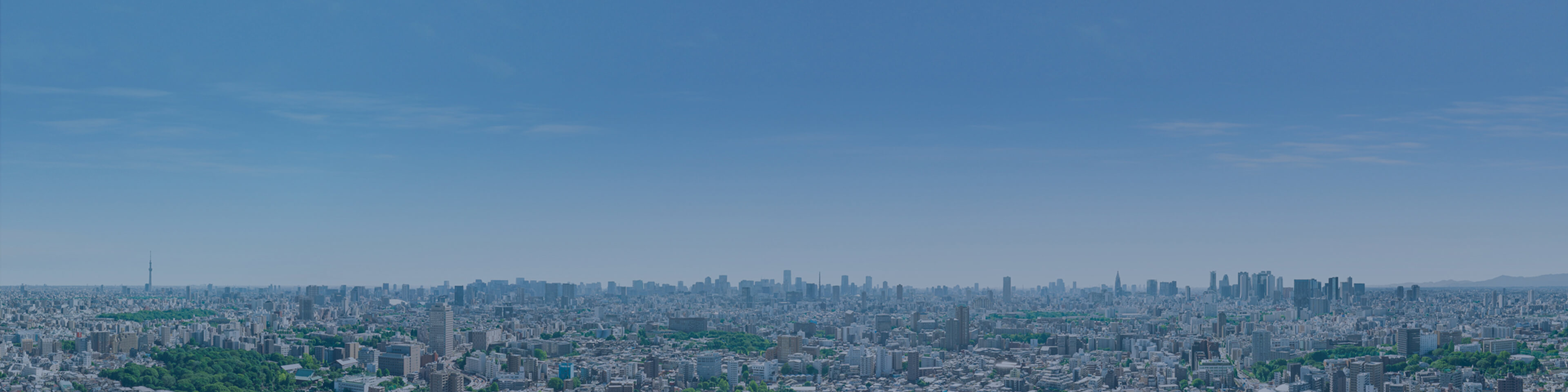 現地より37階相当の高さから東・南方向を望む眺望写真