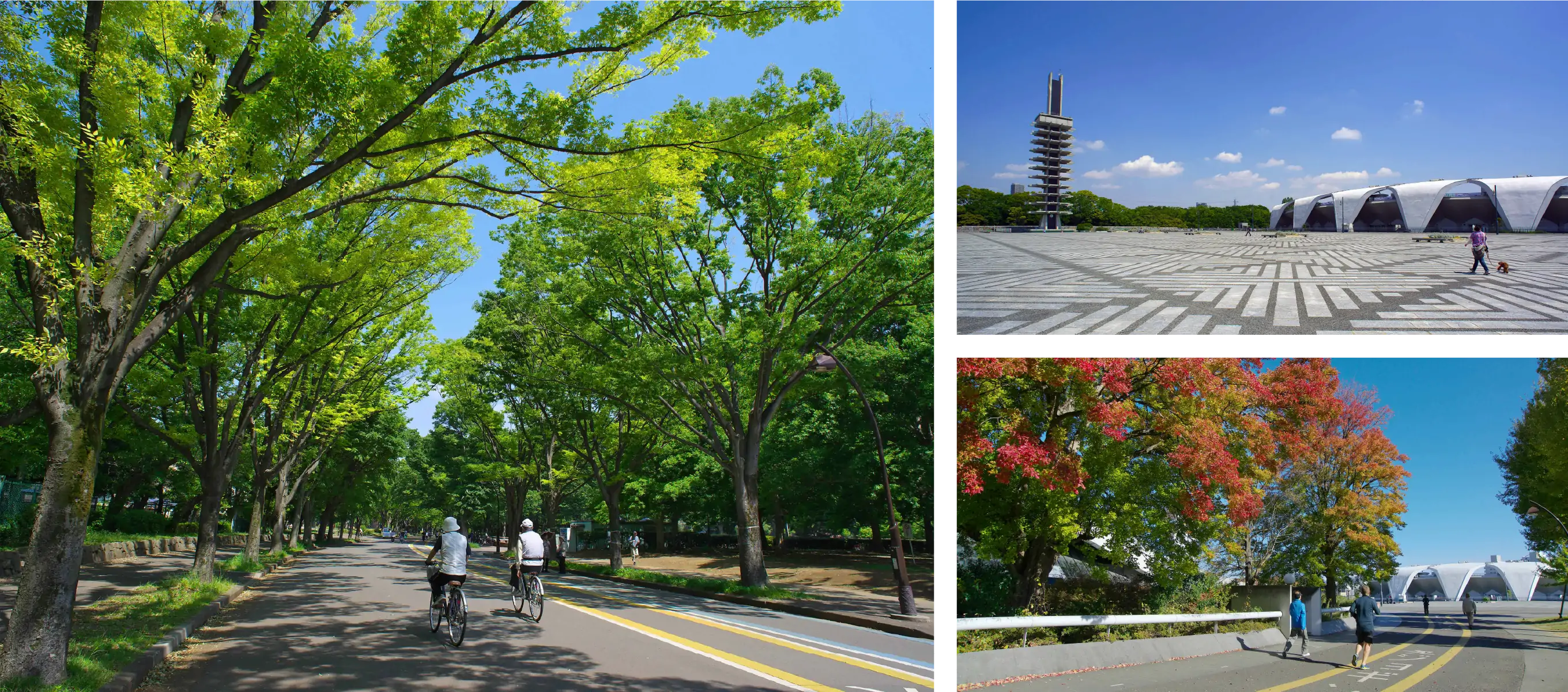 駒沢オリンピック公園