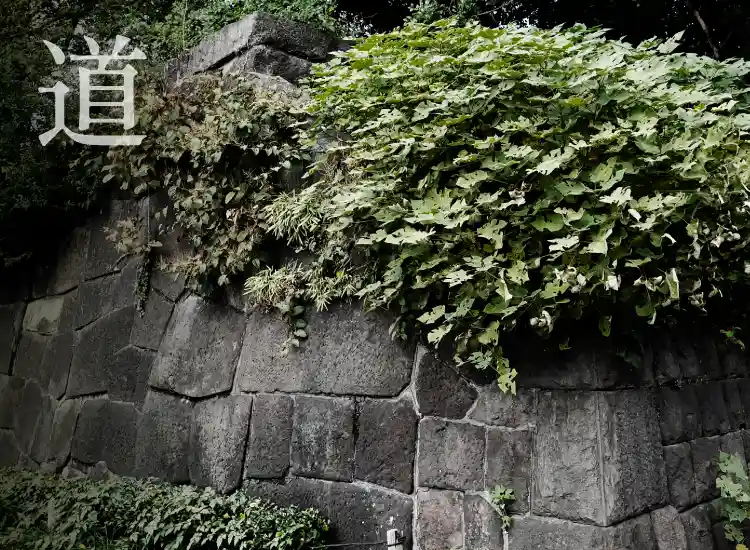四谷見附門跡の石垣（徒歩5分/約390m）