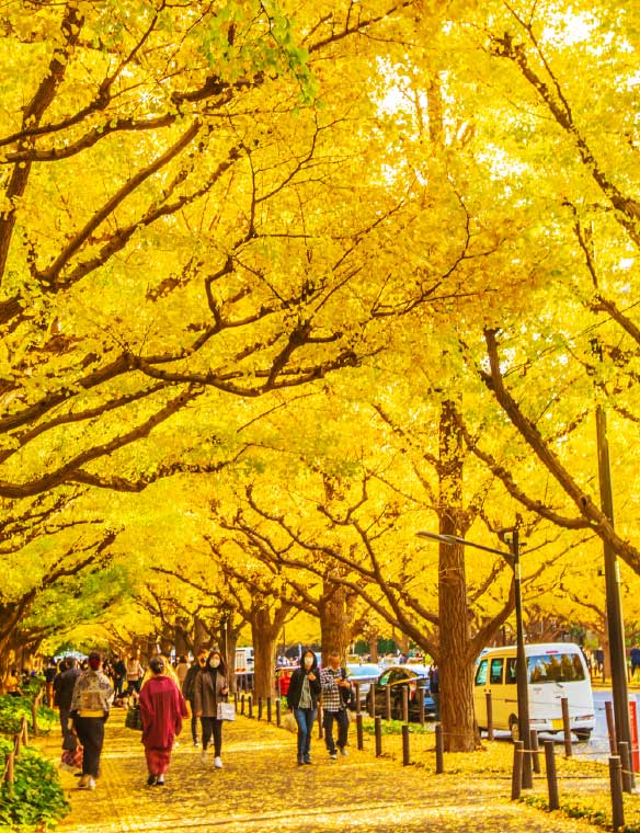 神宮外苑（徒歩19分/約1,480m）