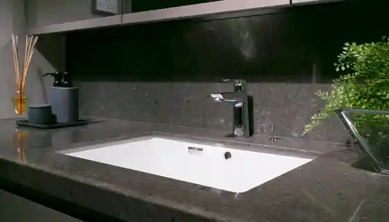 powder room & lavatory
