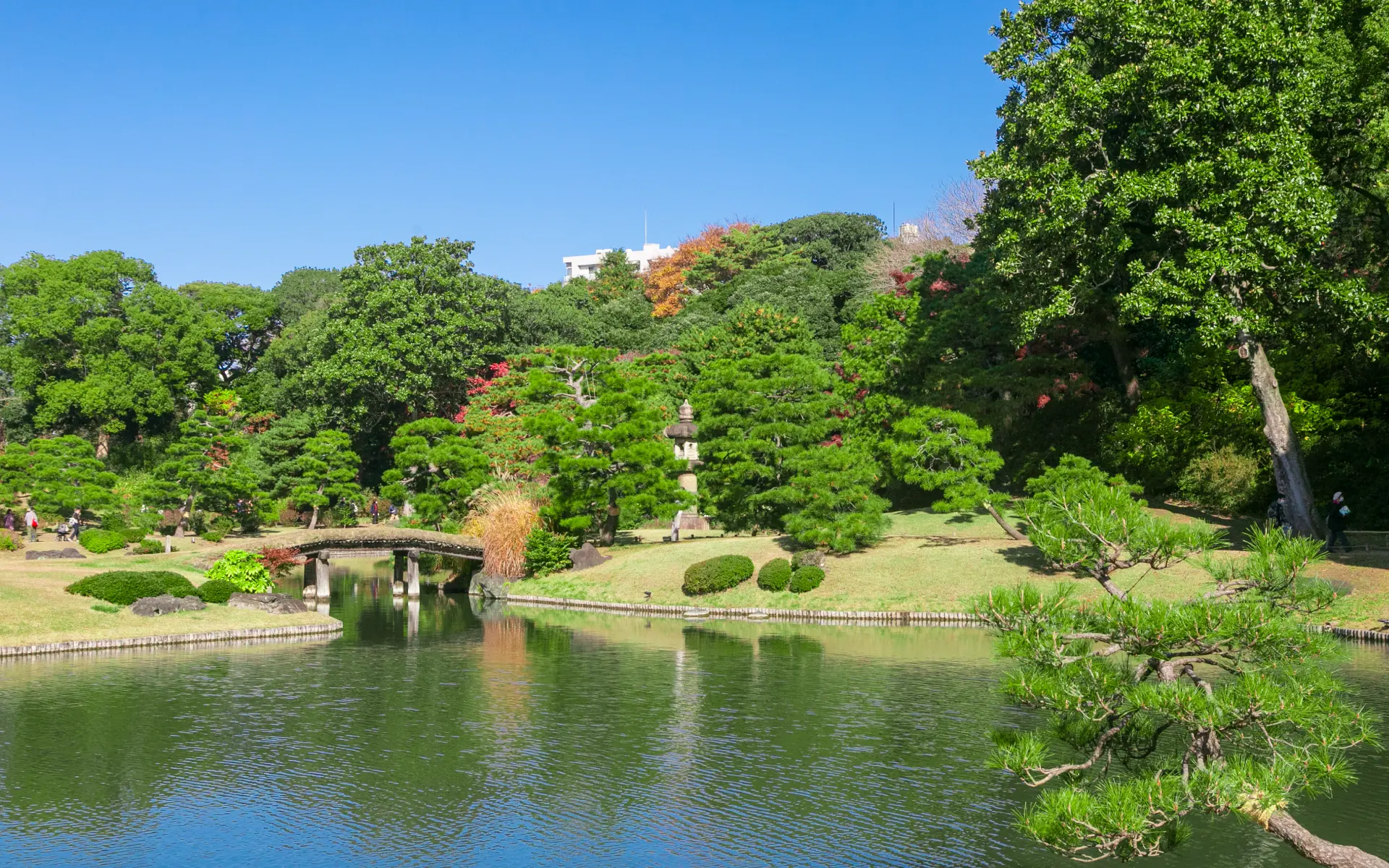 六義園（徒歩16分/約1,210m）
