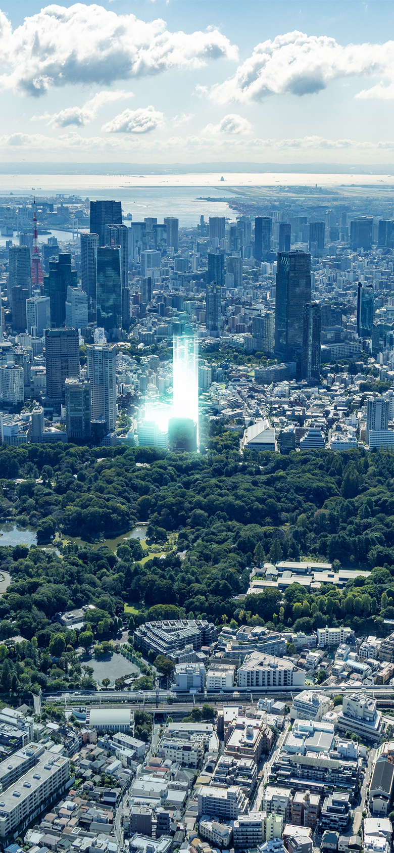 現地周辺航空写真