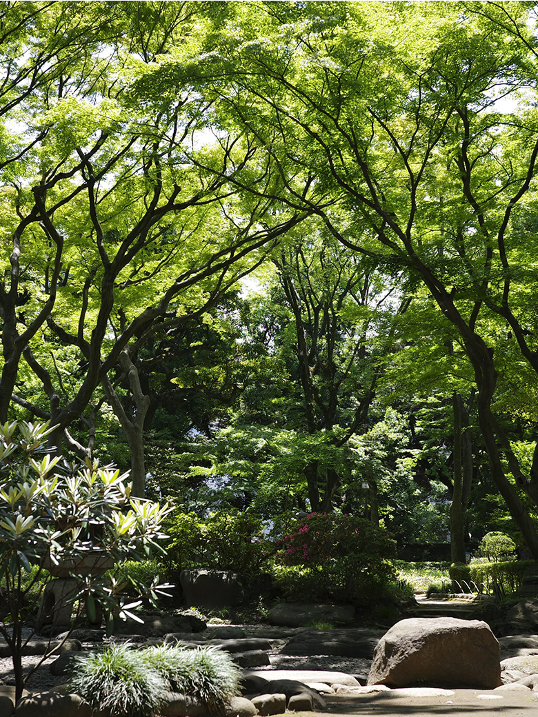 高橋是清翁記念公園（現地から約100m/徒歩2分）