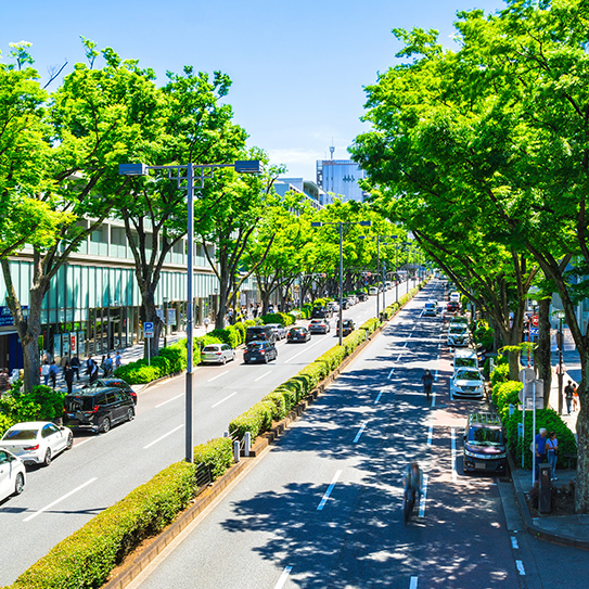 表参道ヒルズ（現地から約2,280m/徒歩29分）