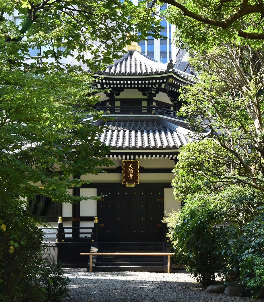 Image Photo