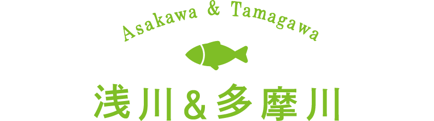 Asakawa & Tamagawa 浅川&多摩川