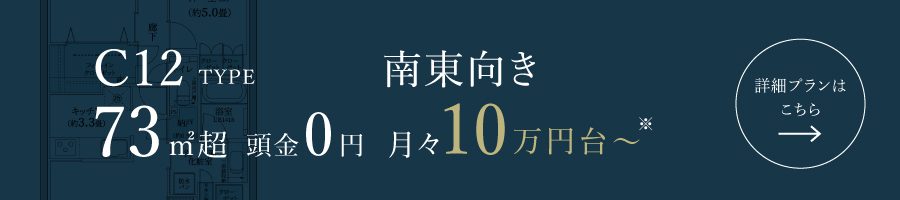 C12type 南東向き 70㎡超 頭金0円 月々10万円台〜 詳細プランはこちら