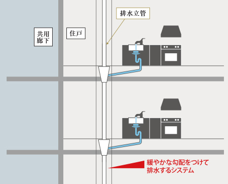 排水立管概念図