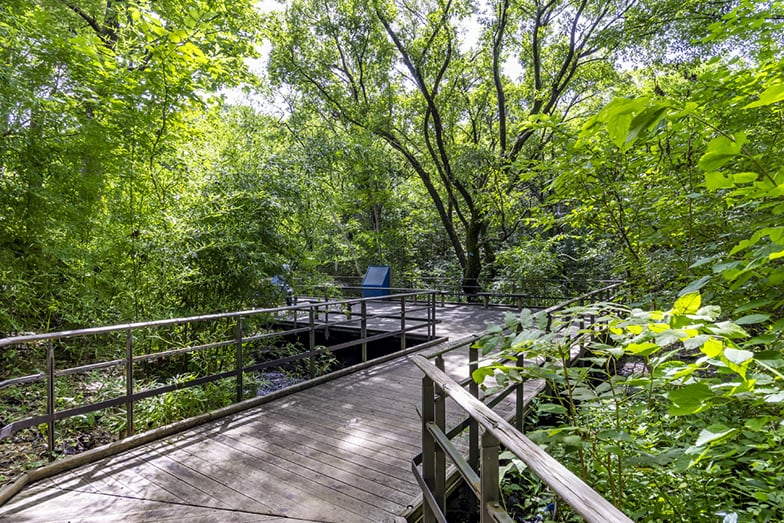 赤羽自然観察公園