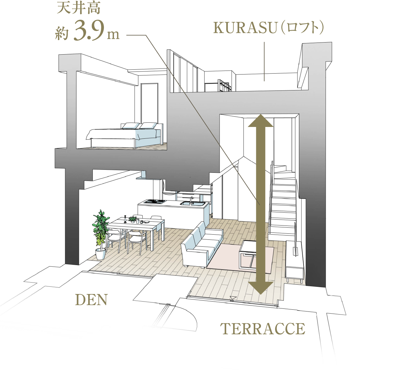 メゾネットプラン（Lm type）断面イメージイラスト