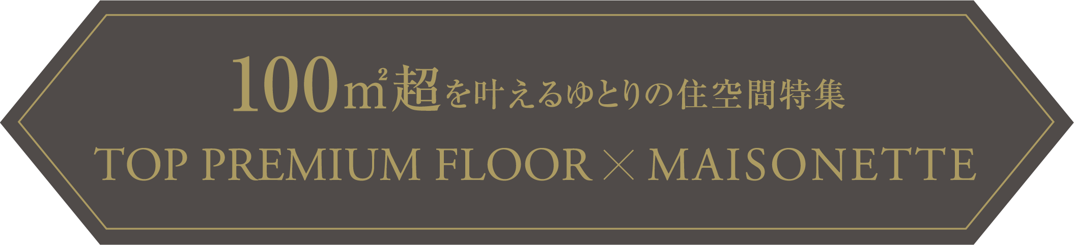 100㎡超を叶えるゆとりの住空間特集　TOP PREMIUM FLOOR × MAISONETTE
