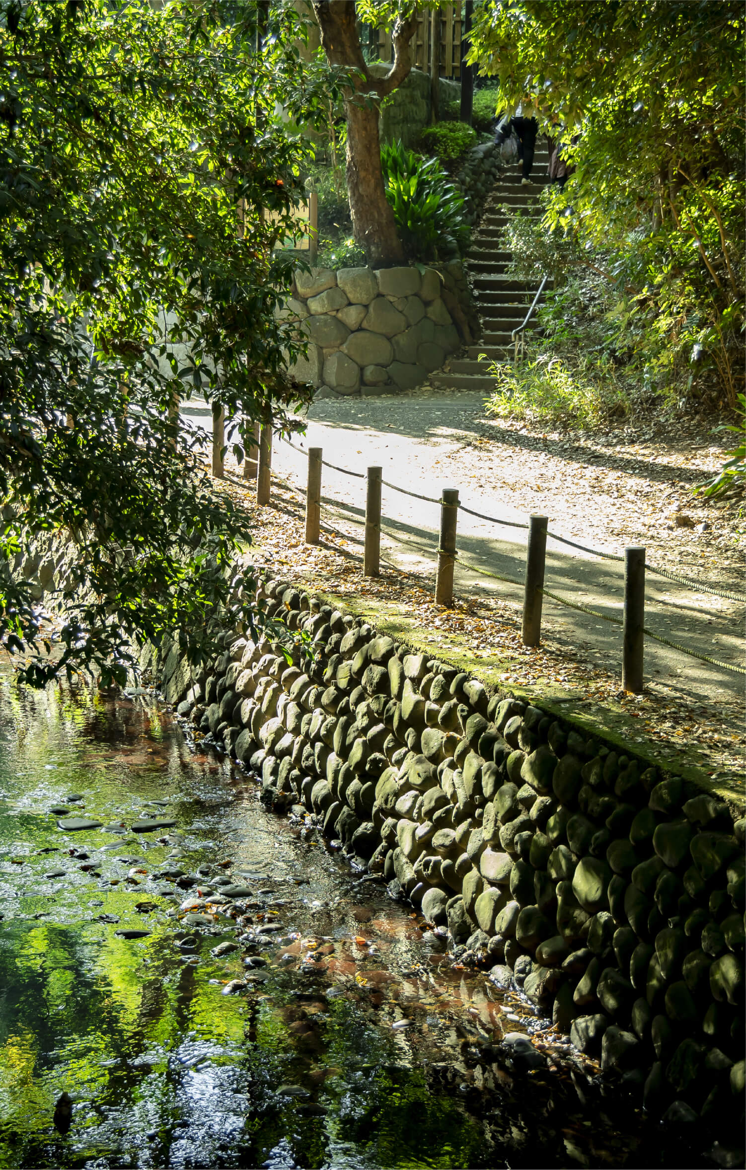 等々力渓谷公園(徒歩10分・約800m)