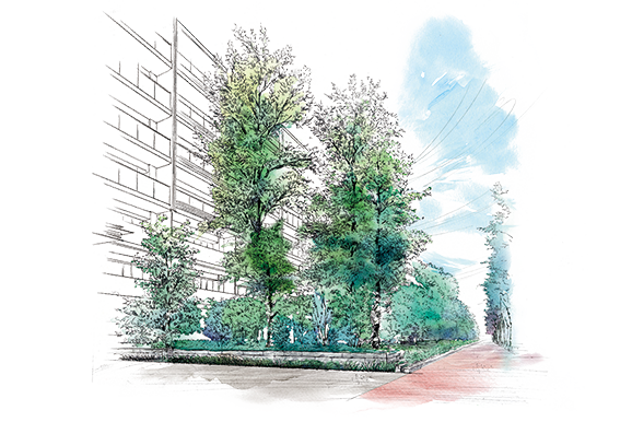 「既存樹の森」イメージイラスト