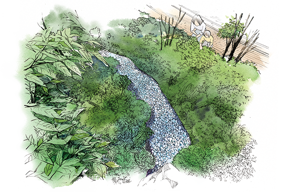 「レインガーデン」イメージイラスト
