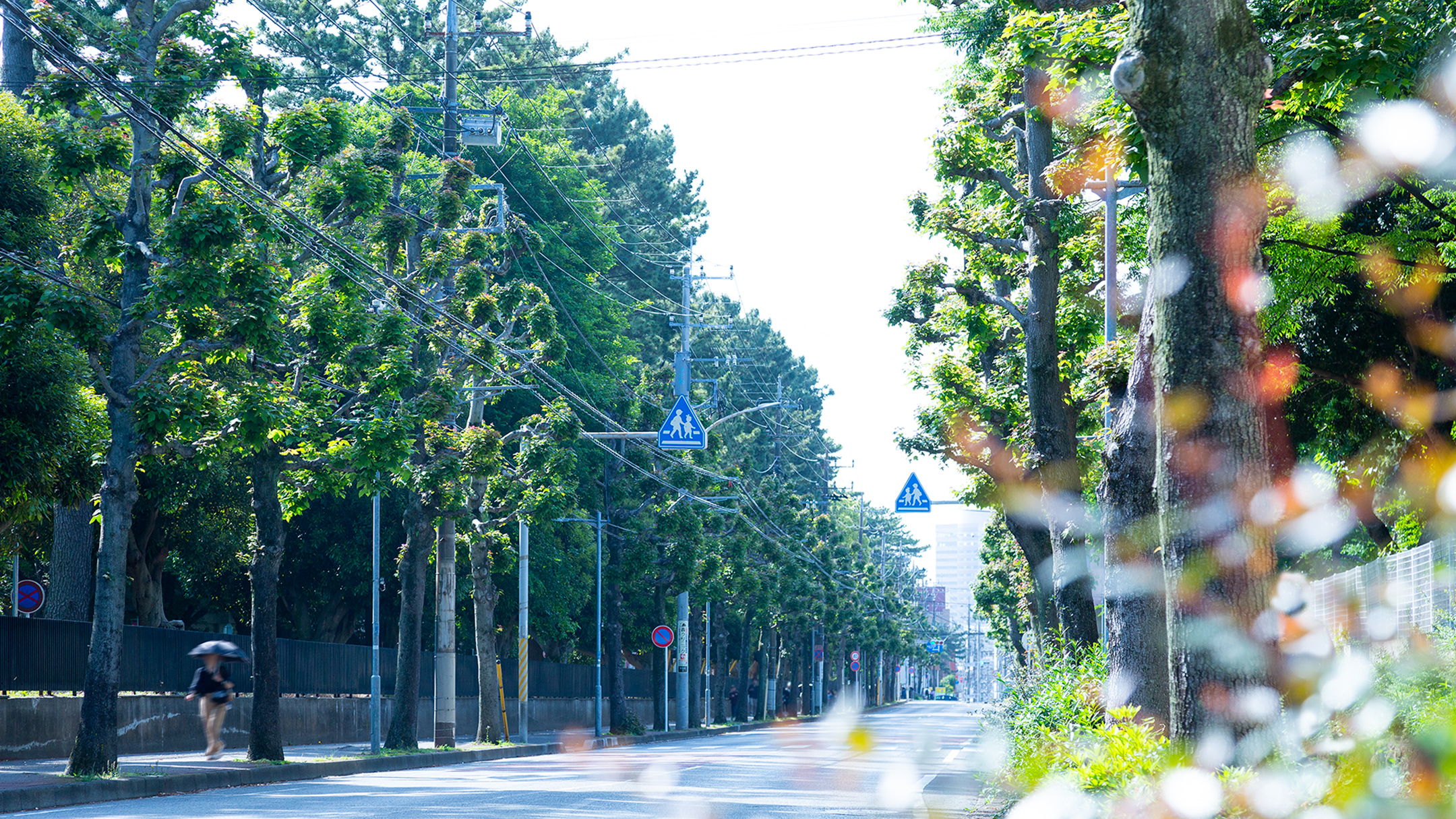 文教通り／徒歩7分・約560ｍ