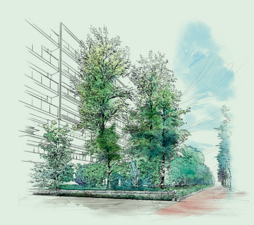 ■「既存樹の森」イメージイラスト