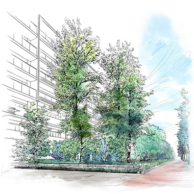 「既存樹の森」イメージイラスト