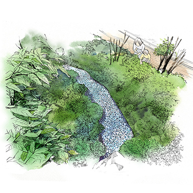 「レインガーデン」イメージイラスト