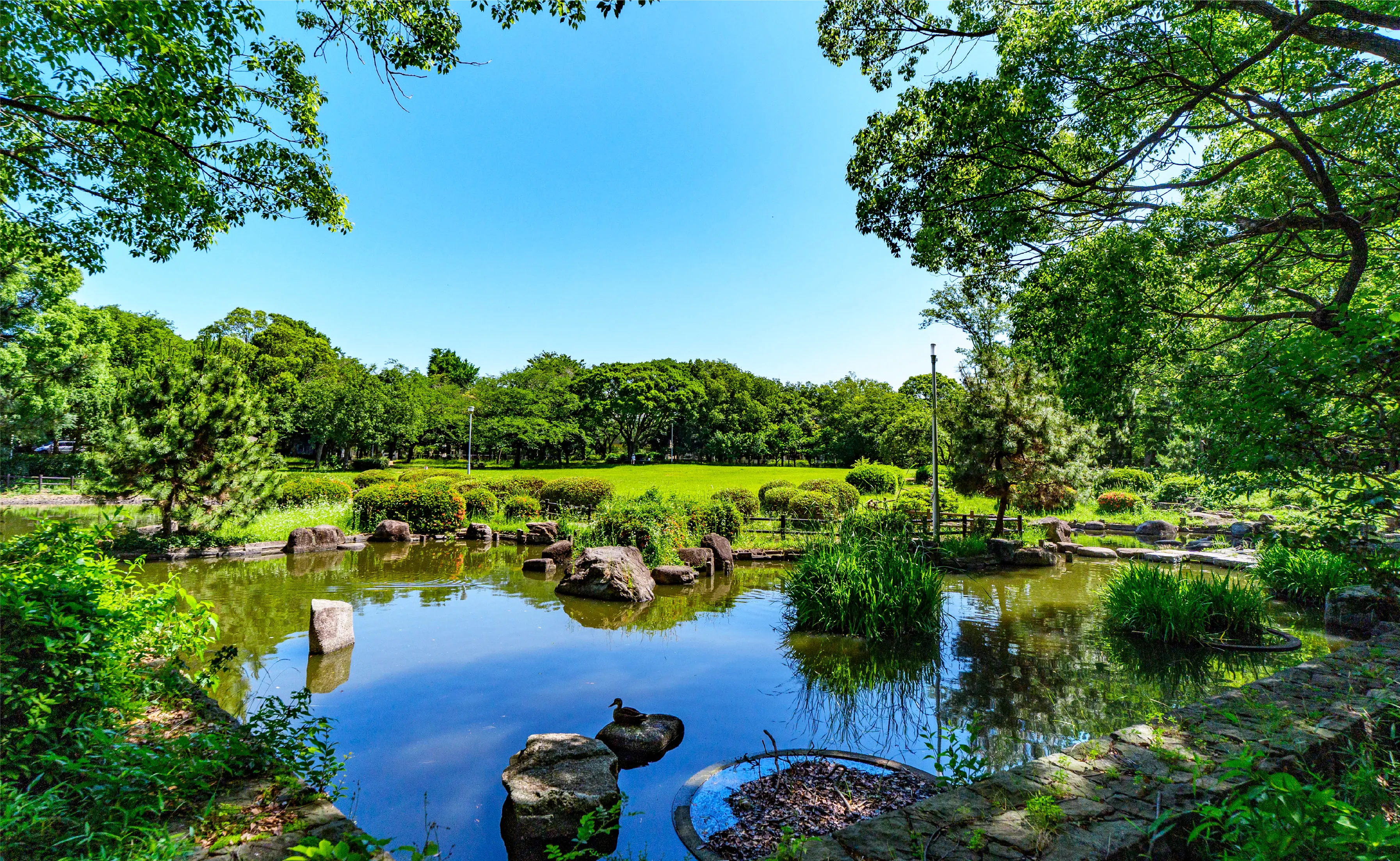 行田公園のイメージ画像