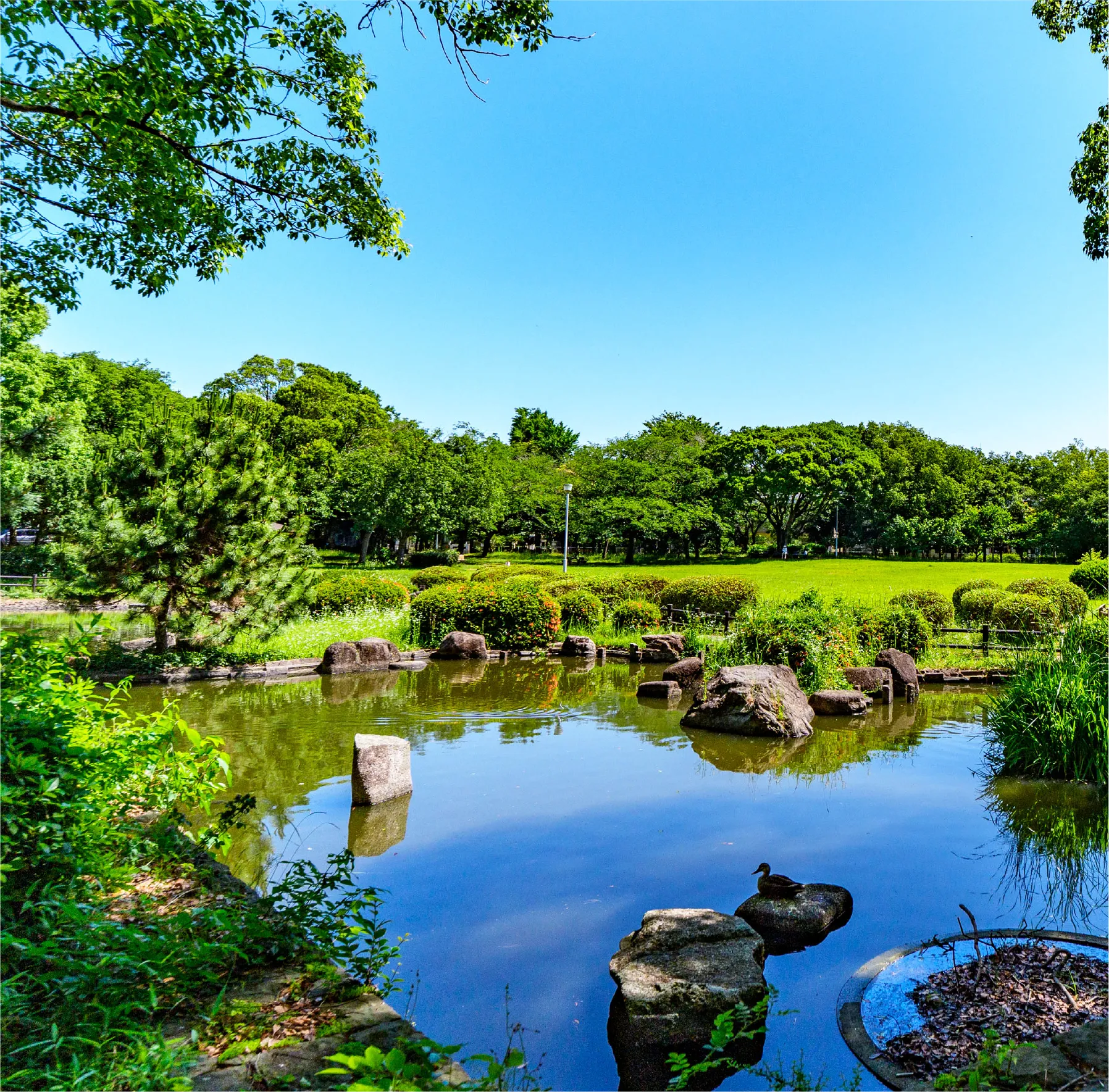 行田公園のイメージ画像