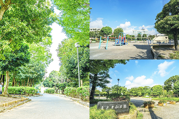 青戸平和公園（徒歩5分/約350m） 写真
