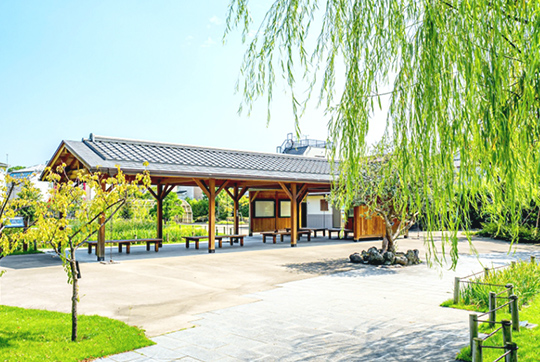堀切菖蒲園（自転車11分/約2,510m） 写真
