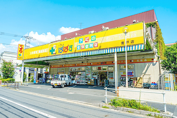 どらっぐぱぱす 青戸店（徒歩2分/約150m） 写真